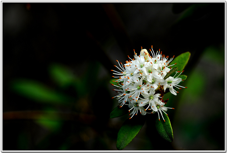 20100709_2533.jpg