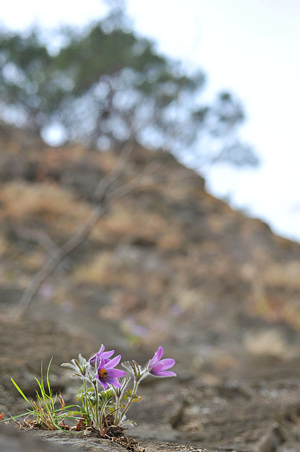 20110410_0199-1.jpg