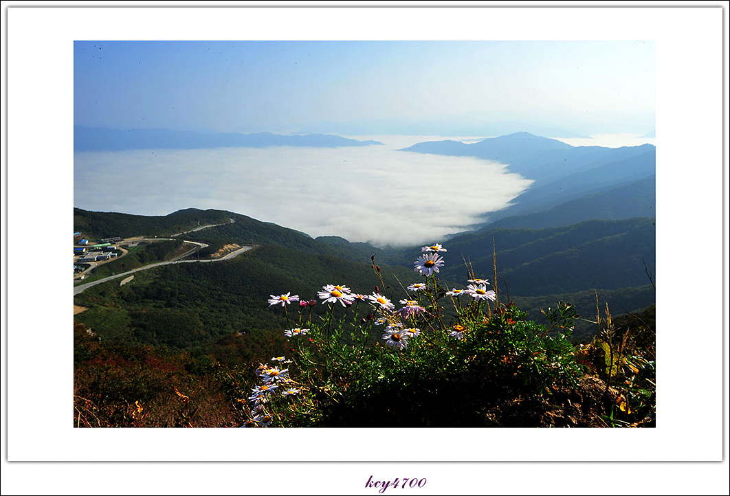 KCY_4471.jpg