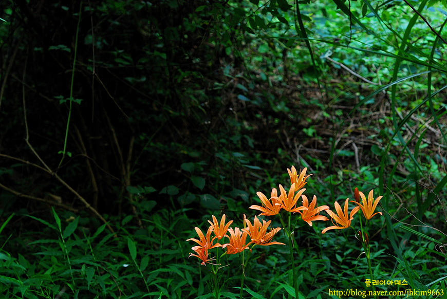DSC_5544.jpg