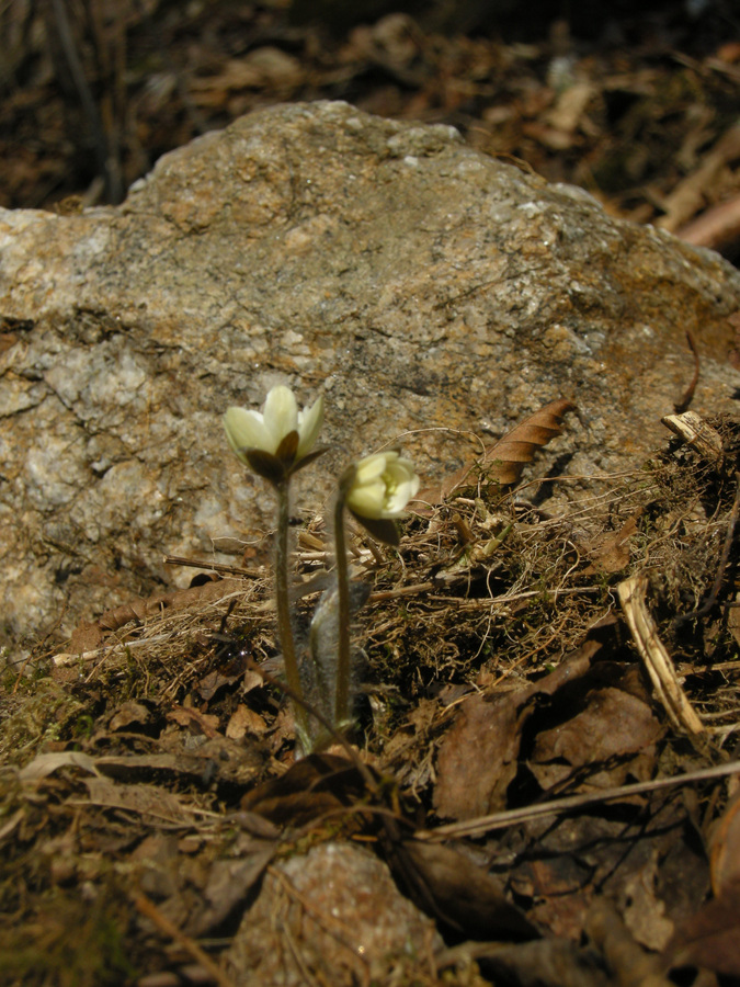 DSCN8359.jpg