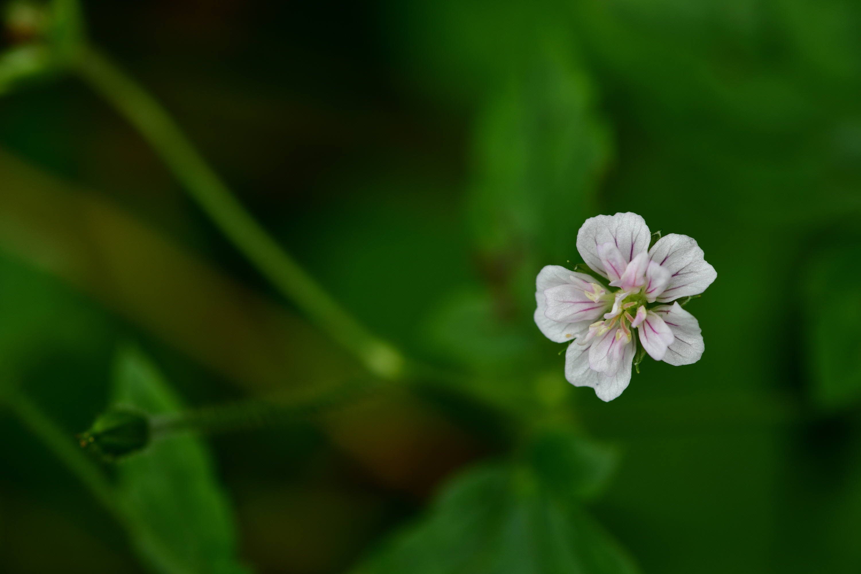 크기변환_DSC_4607.JPG