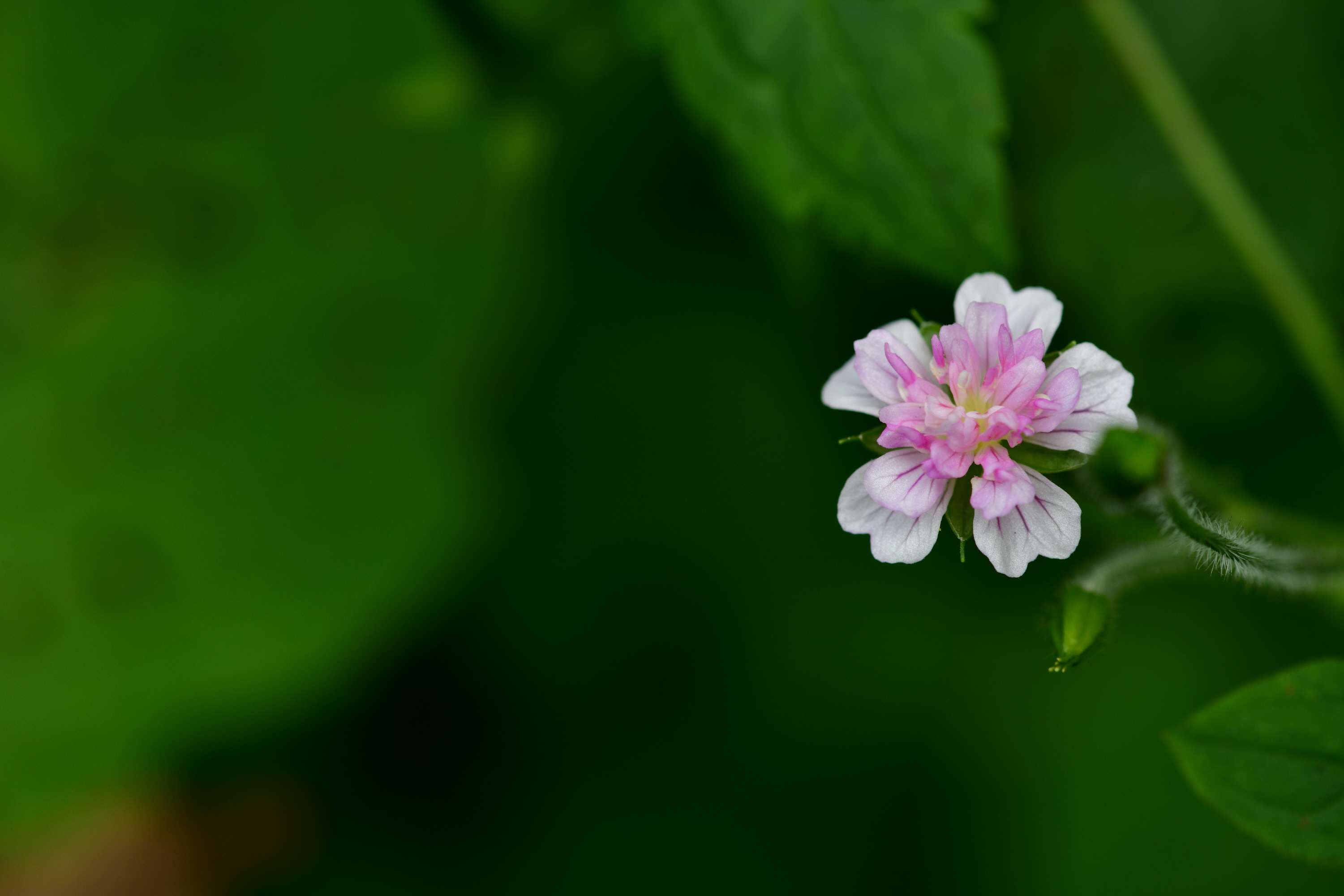 크기변환_DSC_4599.JPG