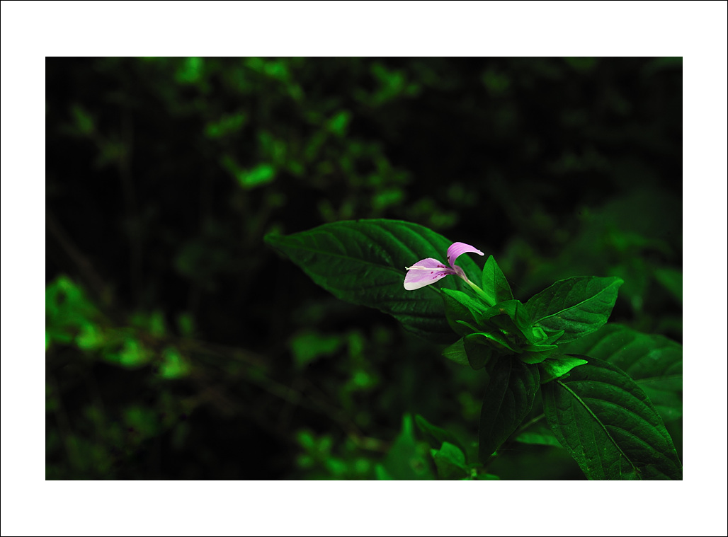 DSC_5449.jpg