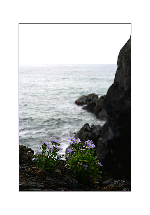 DSC_0934.jpg