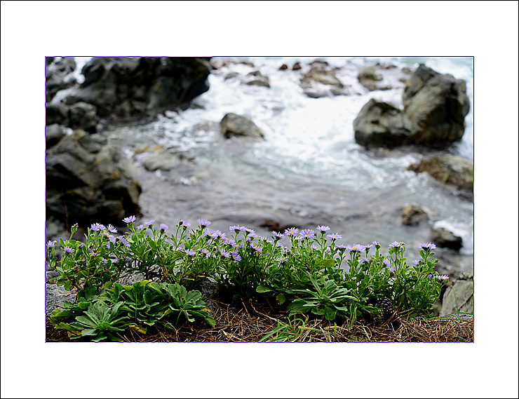 DSC_0917.jpg