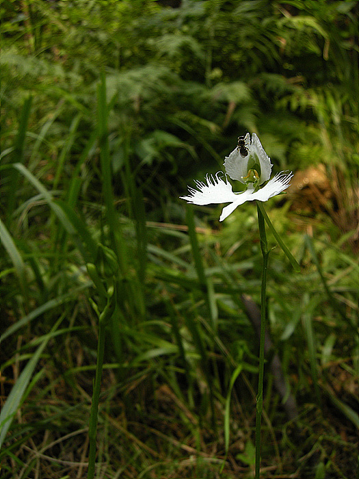DSCN6302.jpg