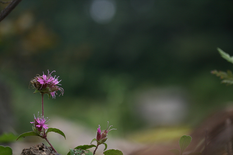 2009.09.05 162.jpg