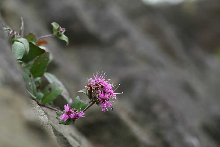 2009.09.05 145.jpg