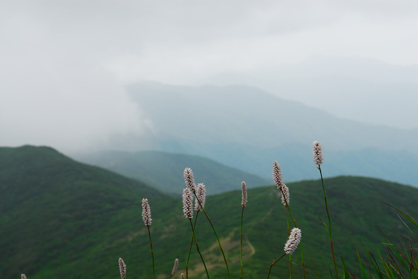 DSC_8917-1.jpg