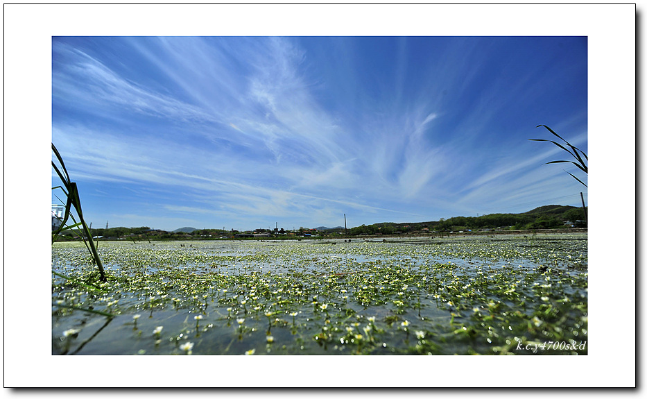 KCY_5960.jpg