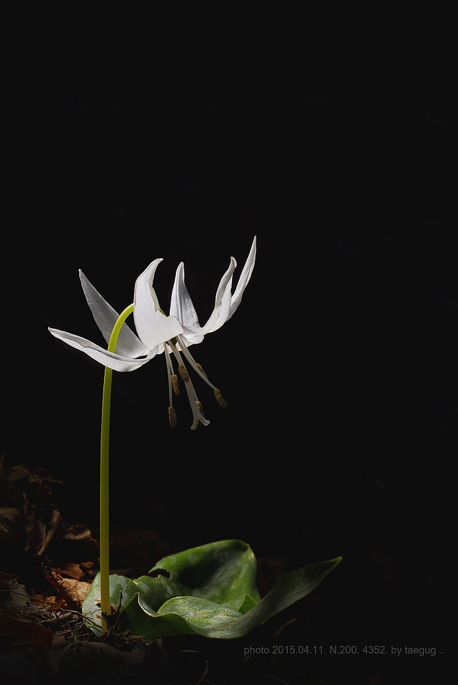 mm_DSC4352.JPG