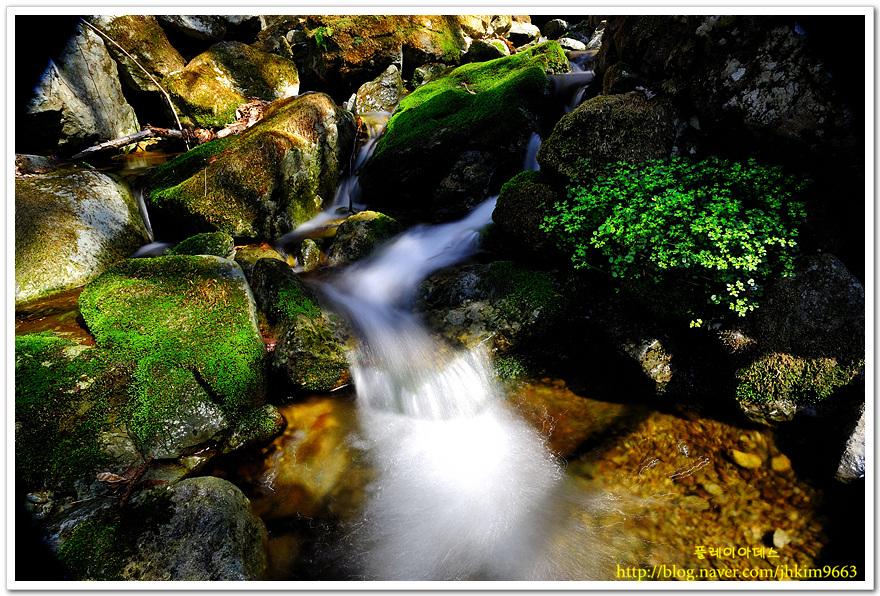 DSC_0872.jpg