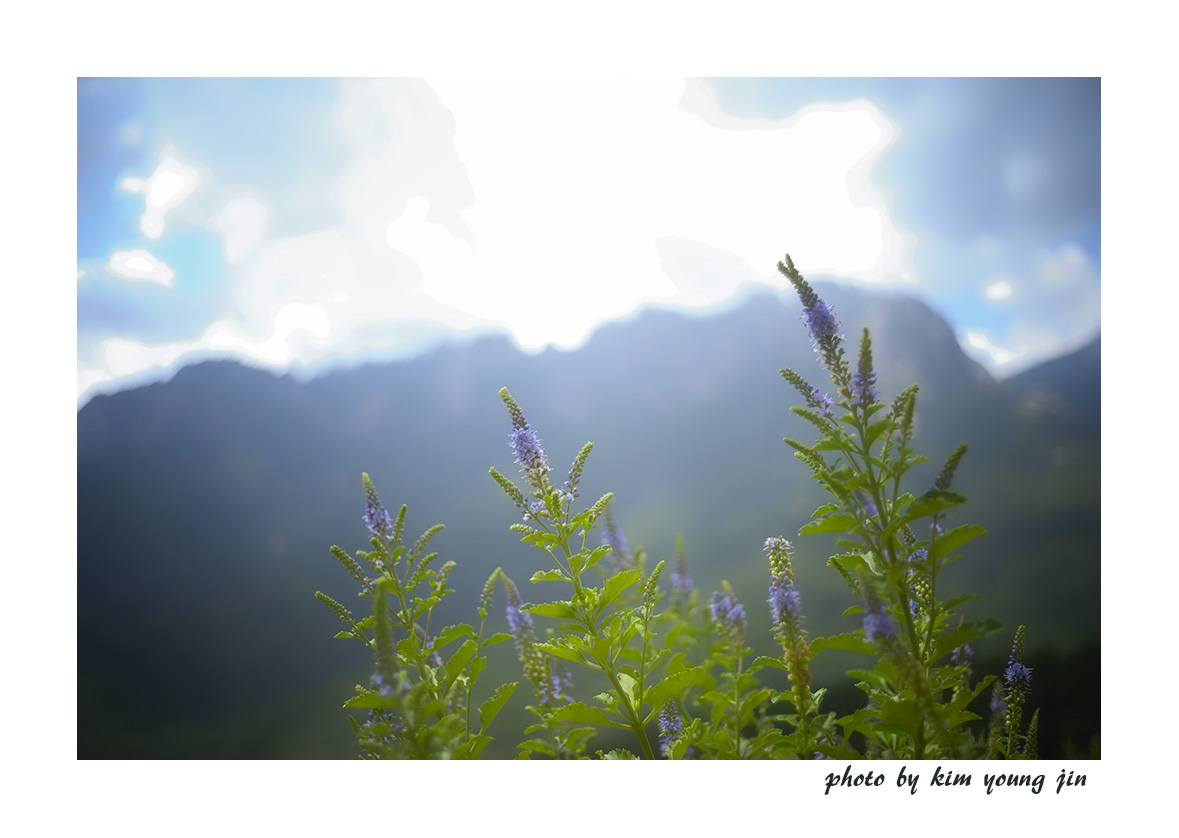 DSC07707-2.jpg