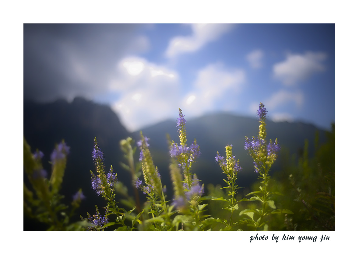 DSC07682-2.jpg