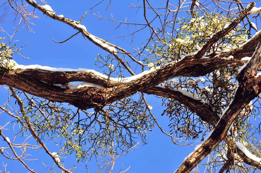 20111225_0061-1.jpg