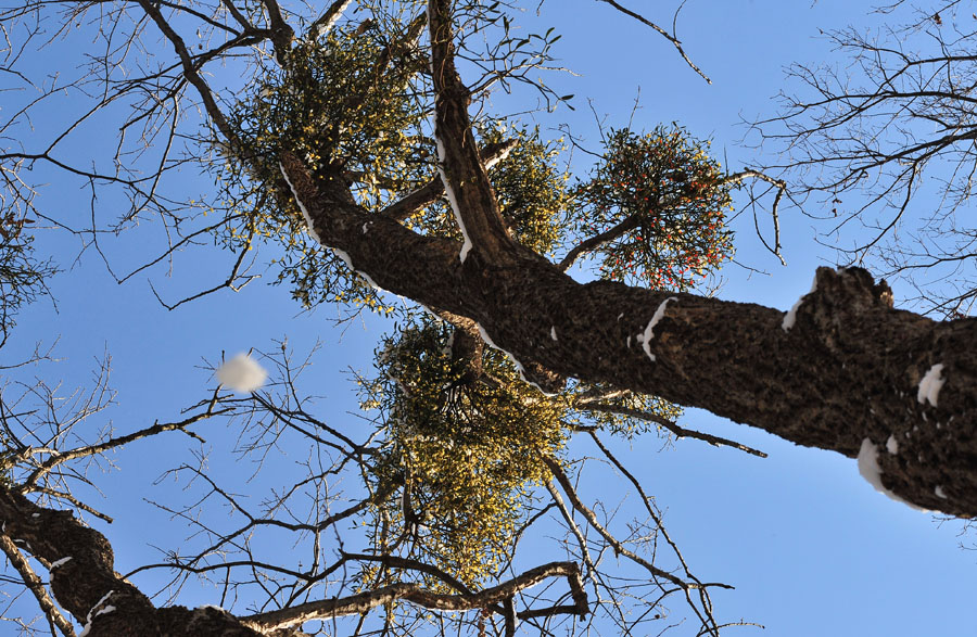 20111225_0093-1.jpg