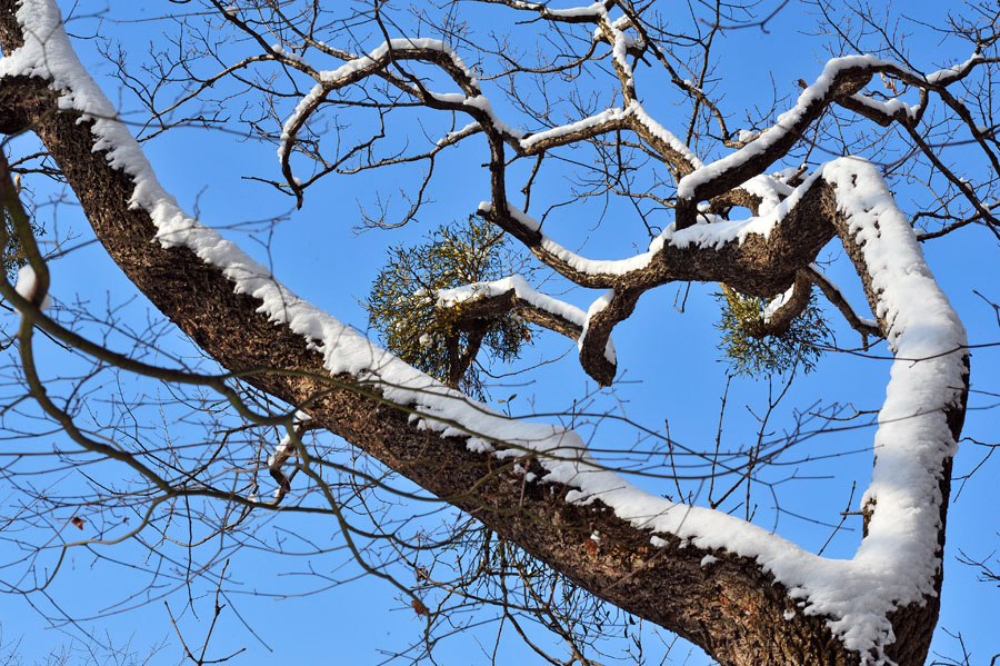 20111225_0179-1.jpg