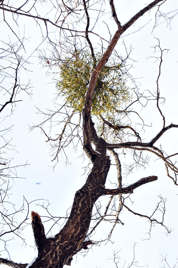 20111225_0194-1.jpg