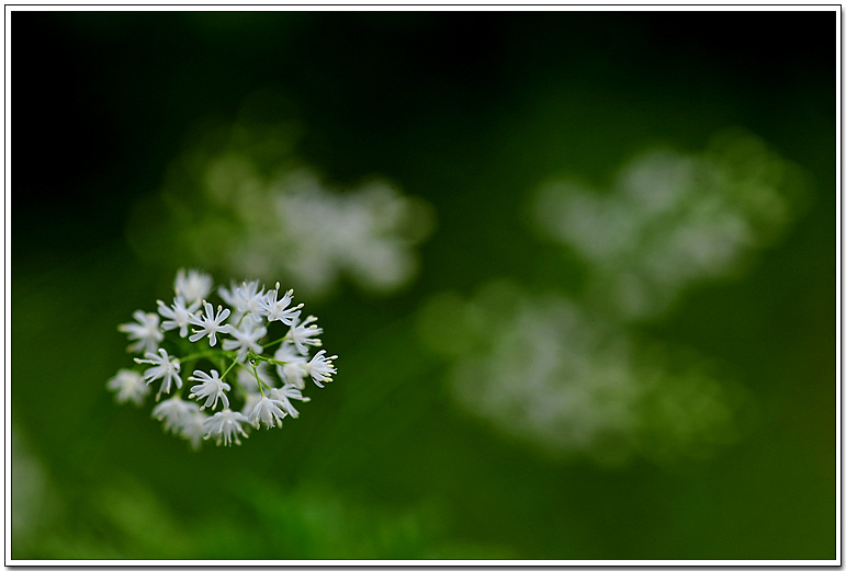 DSC_5577.jpg