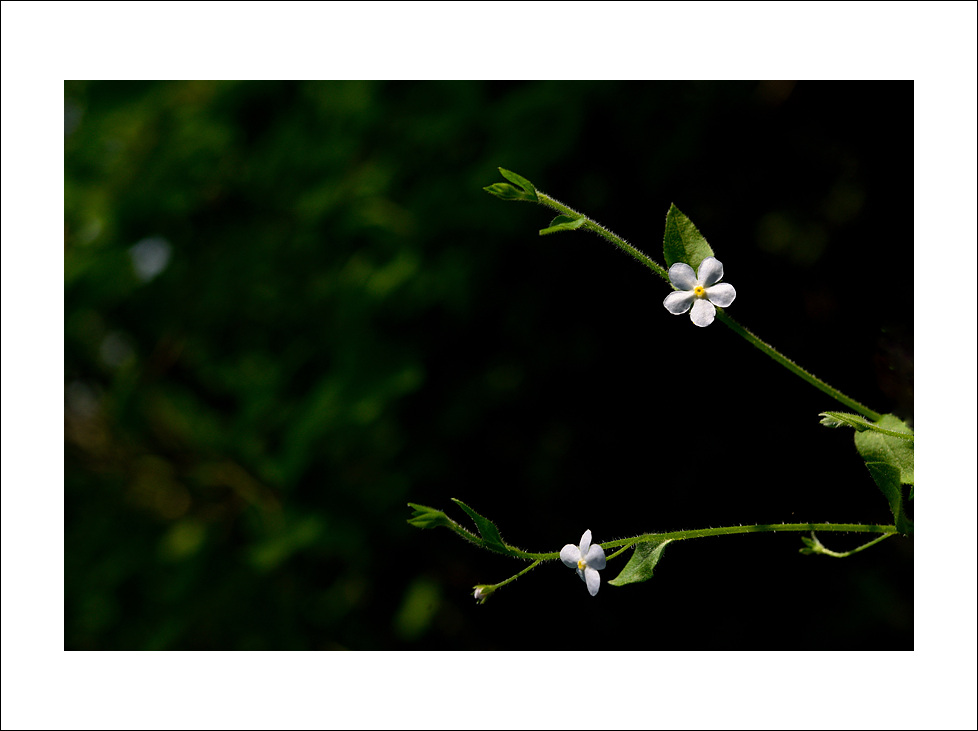 DSC_2891.jpg