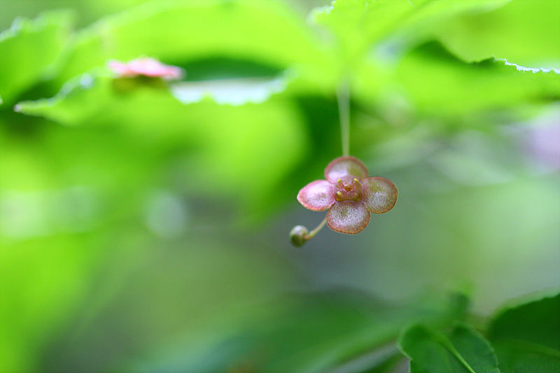 20090606안산 021.jpg