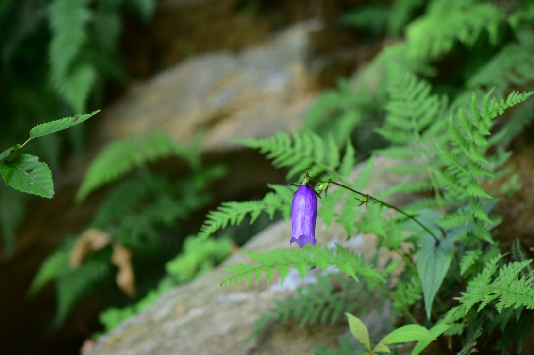 DSC_3993.JPG