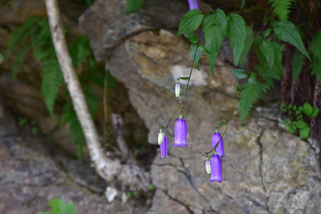 DSC_4053.JPG