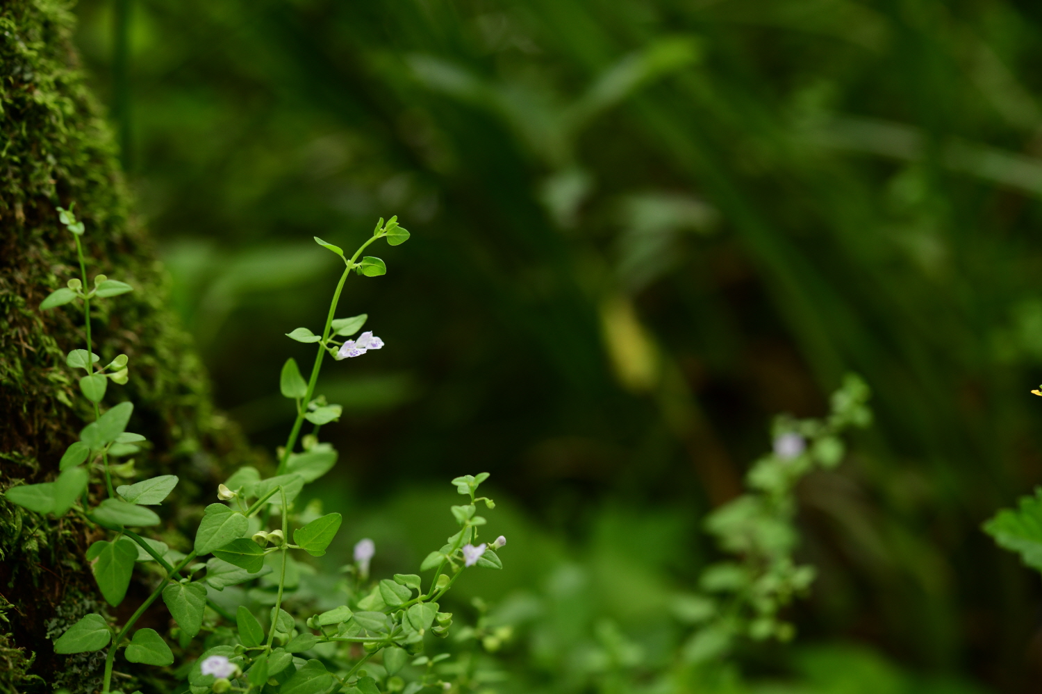 크기변환_DSC_6273.JPG