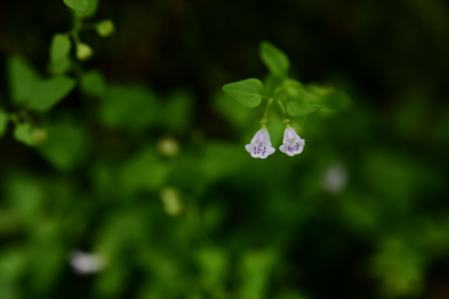 크기변환_DSC_6265.JPG