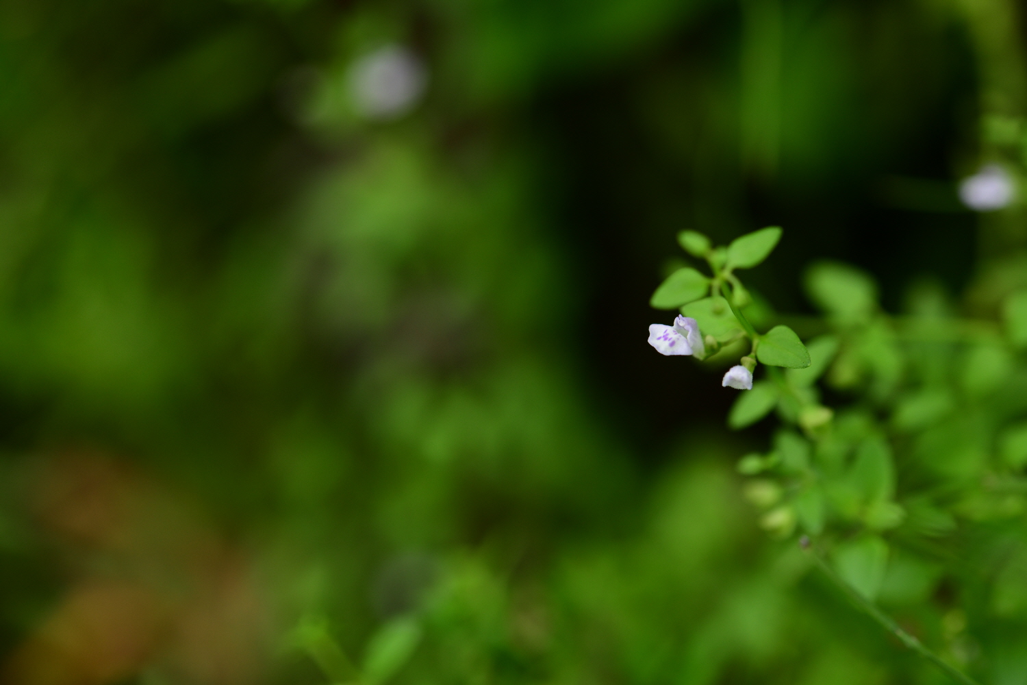 크기변환_DSC_6245.JPG