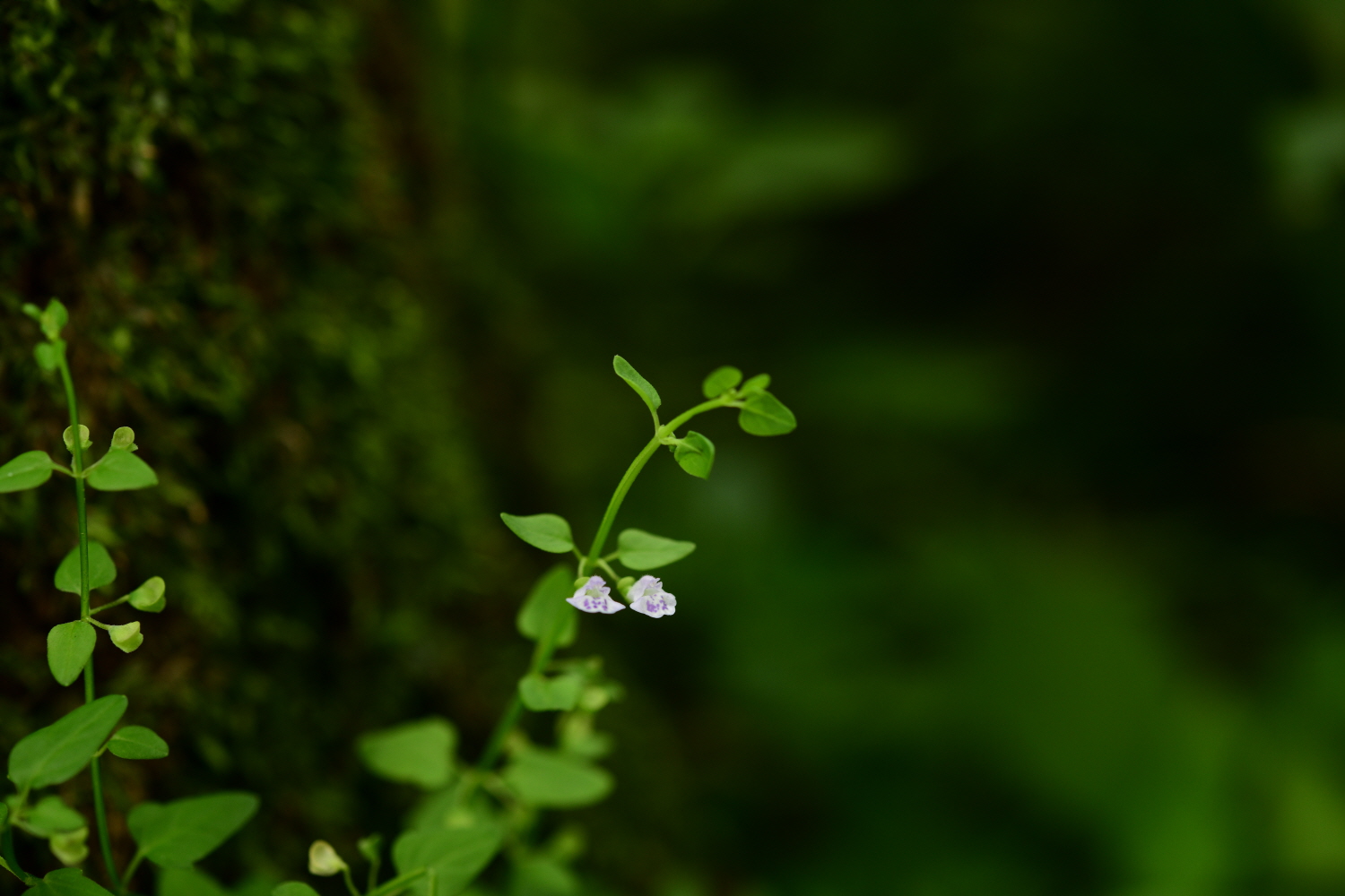 크기변환_DSC_6258.JPG