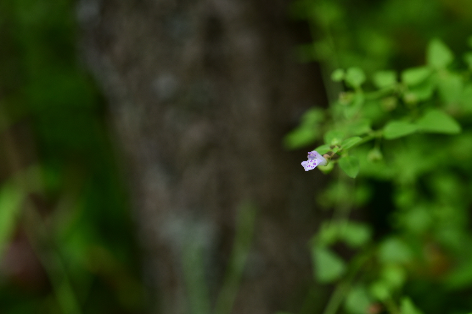 크기변환_DSC_6240.JPG