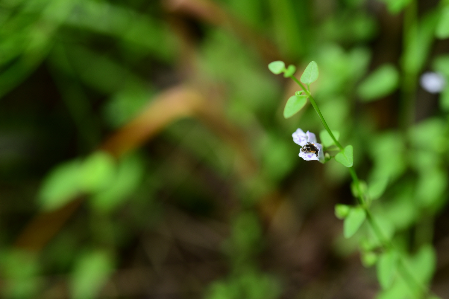 크기변환_DSC_6224.JPG