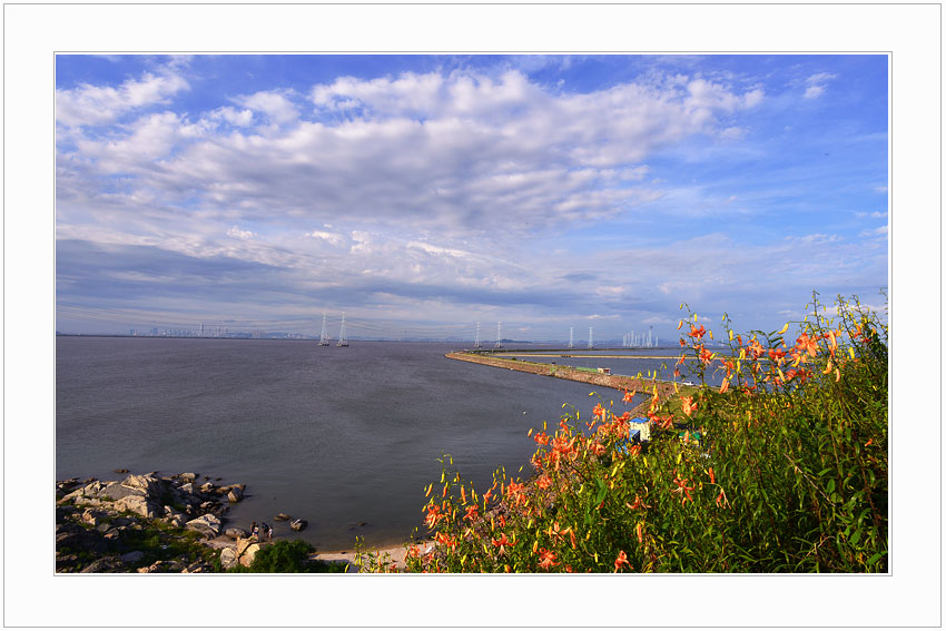 참나리~5.jpg