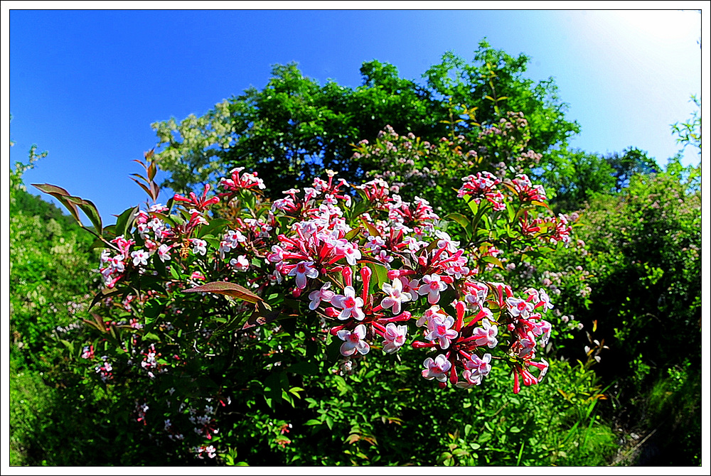 DSC_2135.jpg