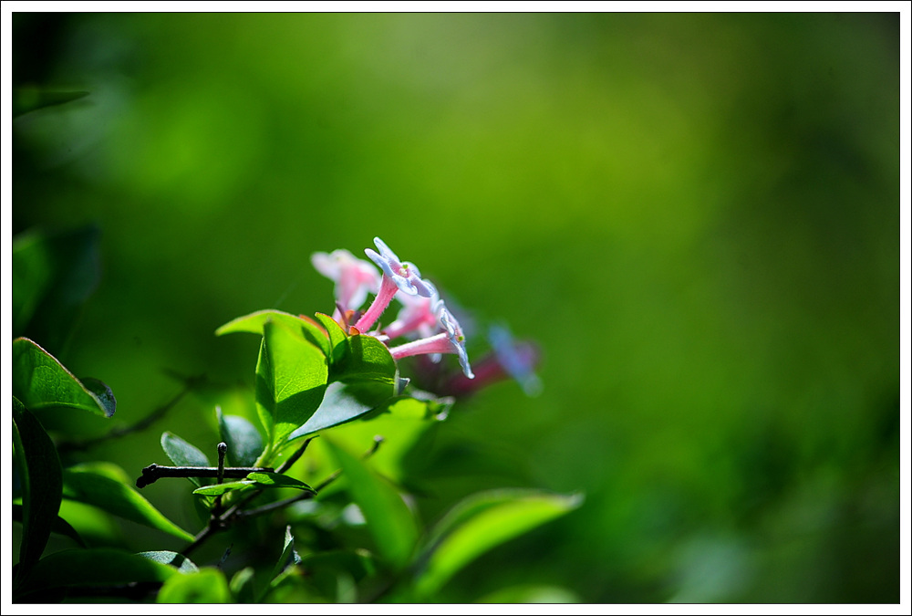 DSC_2259.jpg