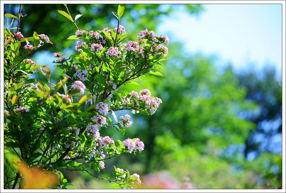 DSC_2179.jpg