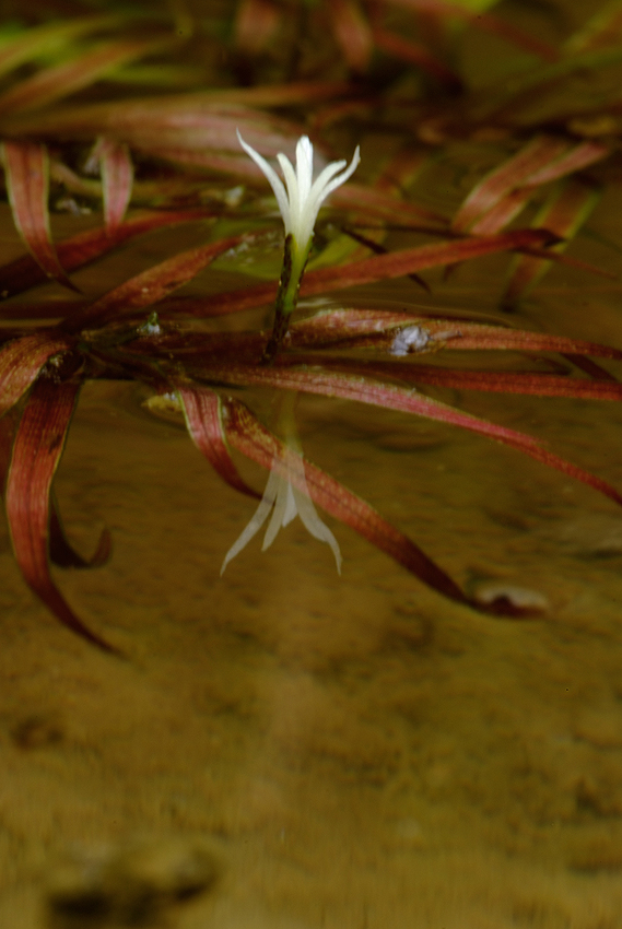 DSCF5833_2.jpg