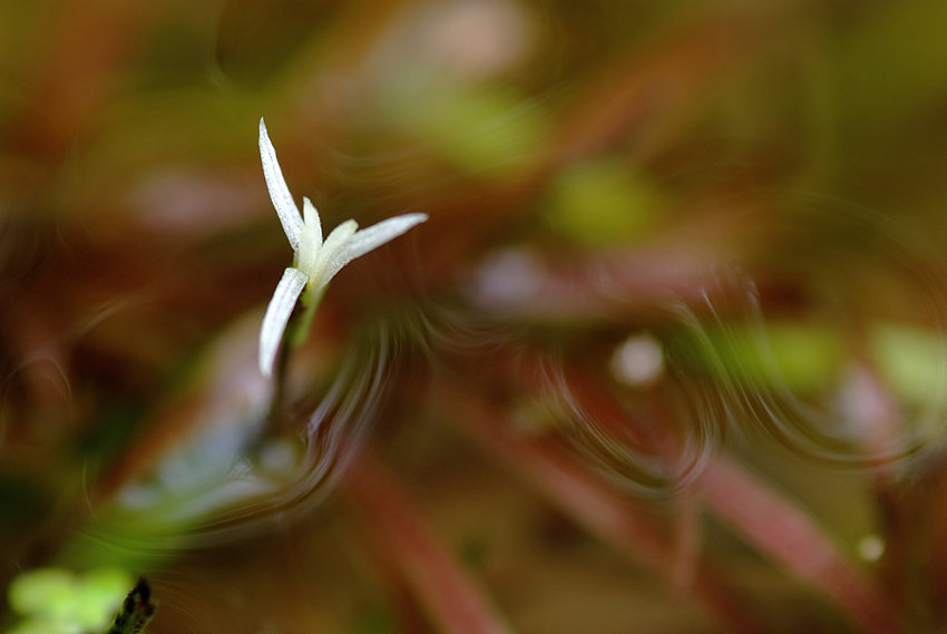 DSCF5900_2.jpg