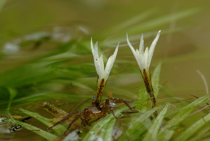 DSCF5831_2.jpg