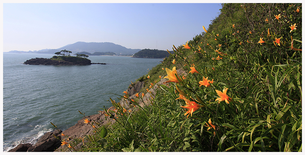 _MG_9552.jpg