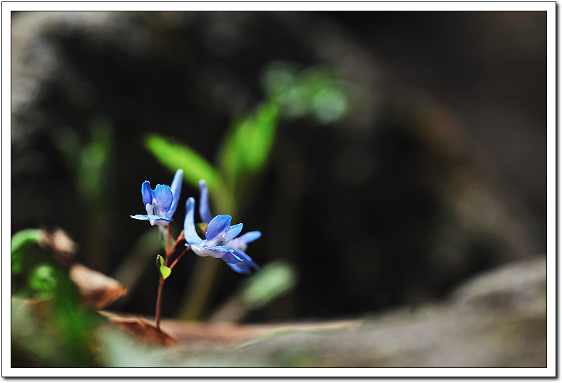 DSC_0380-1.jpg