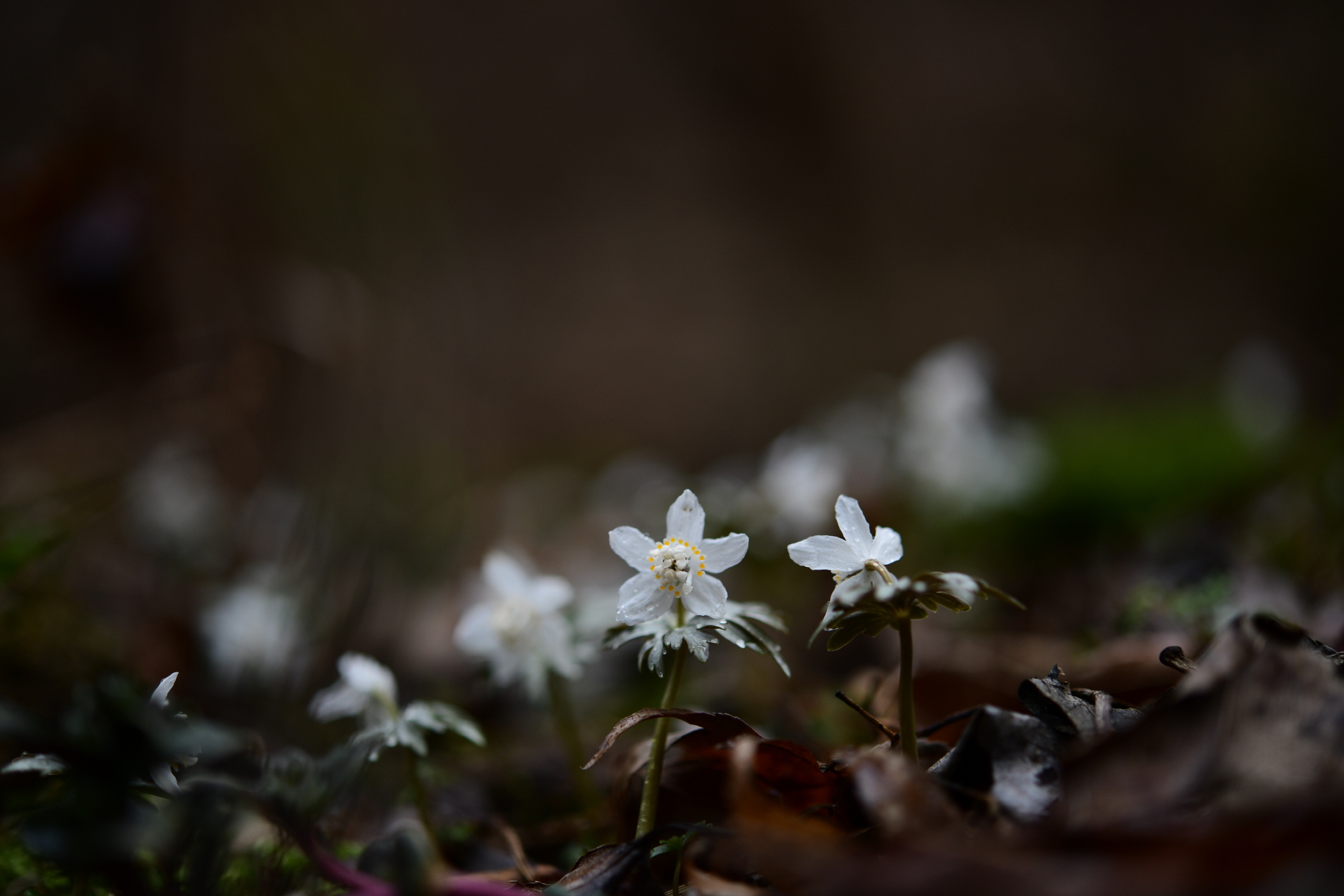 크기변환_DSC_4849.JPG