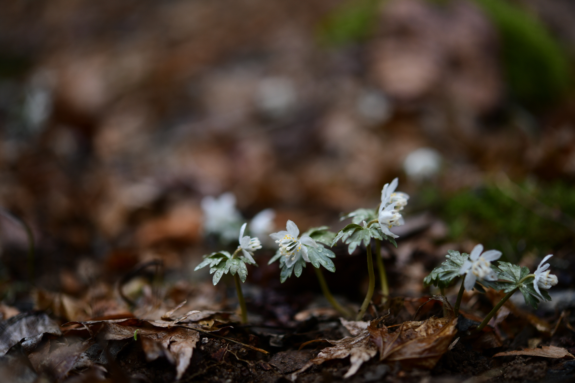 크기변환_DSC_4715.JPG