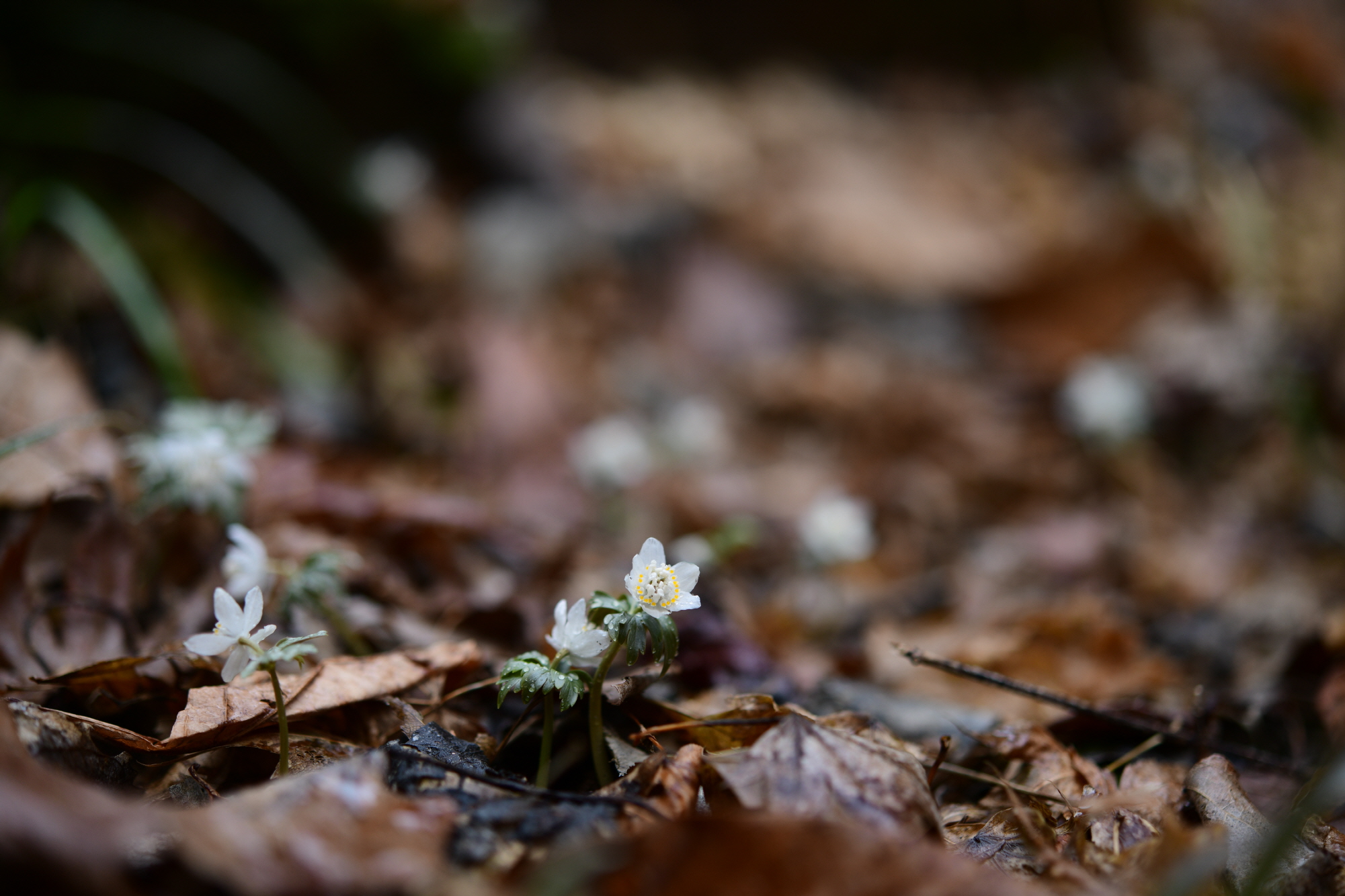 크기변환_DSC_4728.JPG