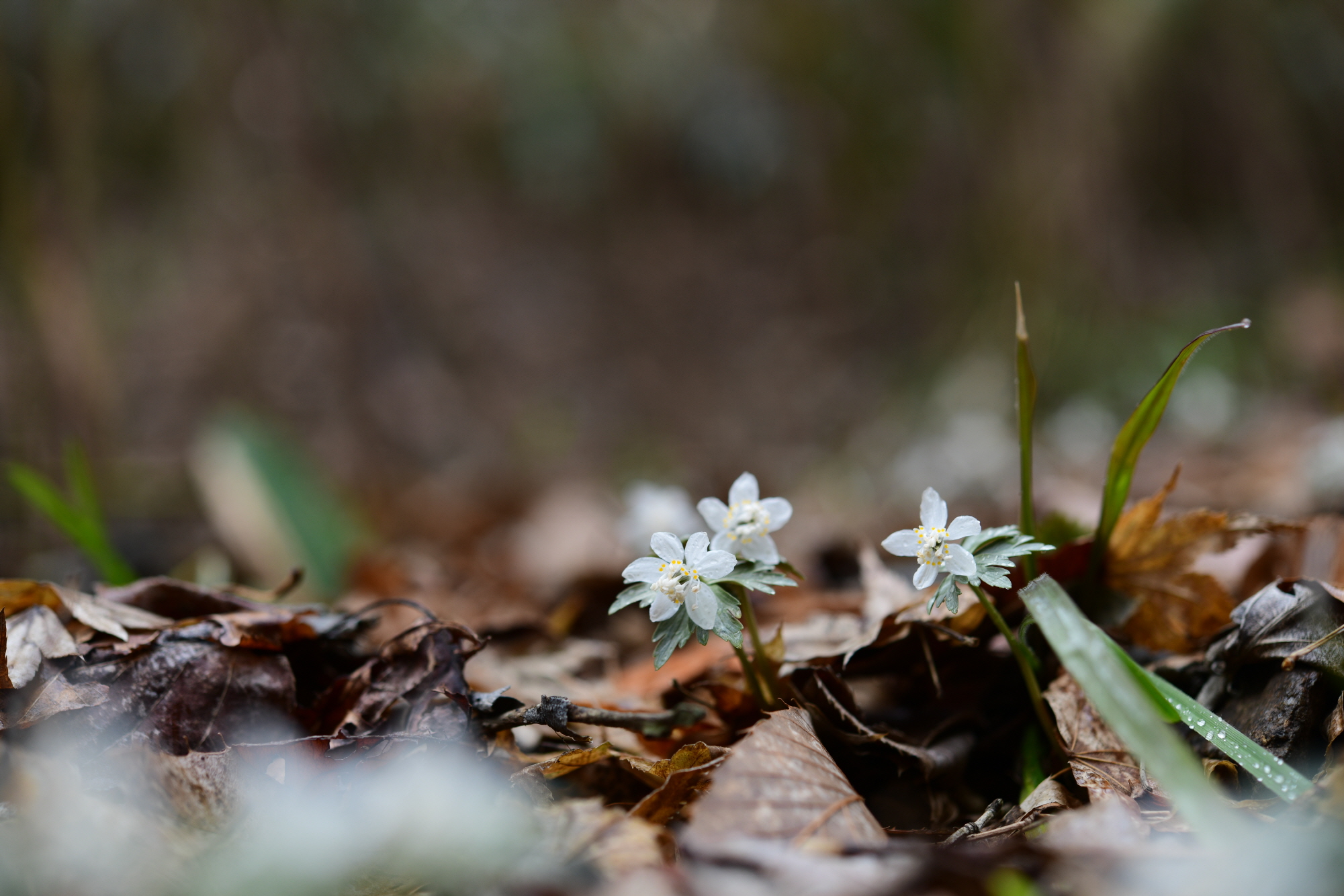 크기변환_DSC_4735.JPG