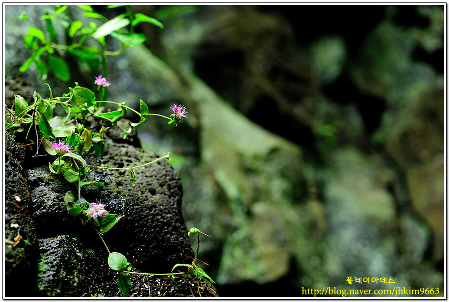 DSC_7634.jpg