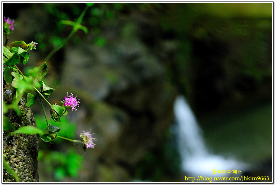 DSC_7622.jpg