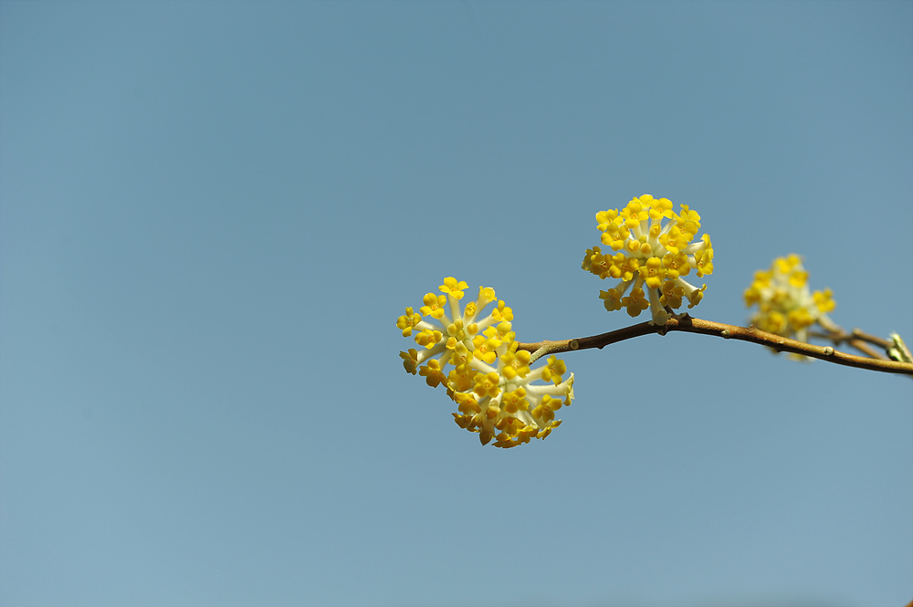 DSC_3335.jpg